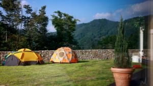 텐트존 Camping sites